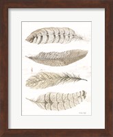 Feather Quad Fine Art Print
