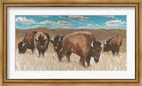 Bison Herd I Fine Art Print