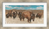 Bison Herd I Fine Art Print