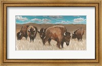 Bison Herd I Fine Art Print