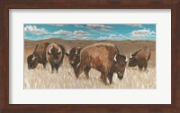 Bison Herd I Fine Art Print