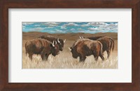 Bison Herd II Fine Art Print