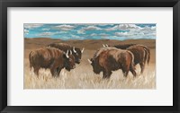 Bison Herd II Fine Art Print