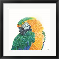 Coyness Fine Art Print