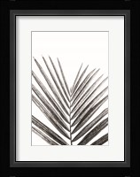 Leaf Study V Fine Art Print