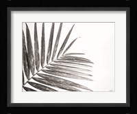 Leaf Study VI Fine Art Print