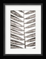 Leaf Study VII Fine Art Print