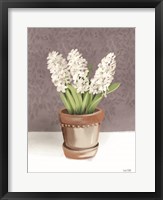House Hyacinth Plant Fine Art Print