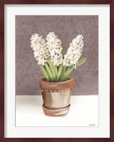 House Hyacinth Plant Fine Art Print
