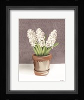 House Hyacinth Plant Fine Art Print