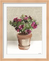 House Begonia Plant Fine Art Print