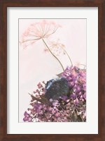 Pink Dandelion Fine Art Print