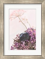 Pink Dandelion Fine Art Print