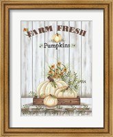 Farm Fresh Pumpkin Fine Art Print