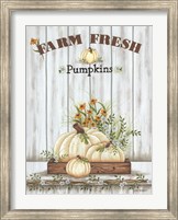 Farm Fresh Pumpkin Fine Art Print