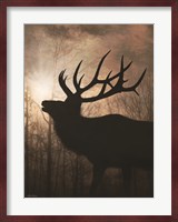 Elk Sunrise II Fine Art Print