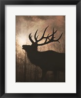 Elk Sunrise II Framed Print