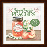 Farm Fresh Peaches Fine Art Print