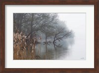 In the Swamps Fine Art Print
