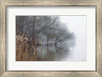 In the Swamps Fine Art Print