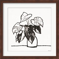 Urn with Plant Fine Art Print