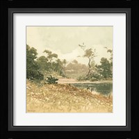 Country Pond 6 Framed Print