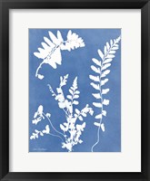Blue Botanical II Framed Print
