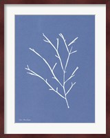 Blue Botanical III Fine Art Print