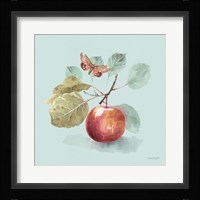 Autumn in Nature 02 on Aqua Framed Print