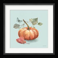 Autumn in Nature 04 on Aqua Framed Print