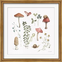 Forest Treasures 02 Fine Art Print