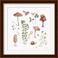 Forest Treasures 02 Fine Art Print