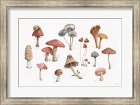 Mushroom Medley 01 Fine Art Print
