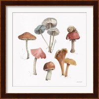 Mushroom Medley 02 Fine Art Print