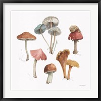 Mushroom Medley 02 Fine Art Print