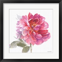 Obviously Pink 02A Framed Print