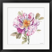 Obviously Pink 04A Framed Print