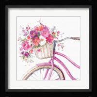 Obviously Pink 14A Framed Print