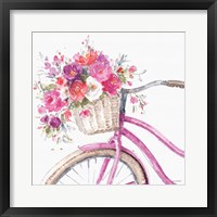 Obviously Pink 14A Framed Print