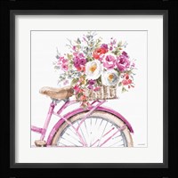 Obviously Pink 15A Framed Print