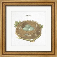 Spring Nest III Nest Fine Art Print