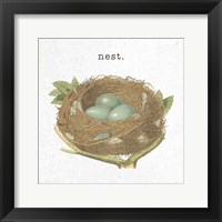 Spring Nest III Nest Fine Art Print