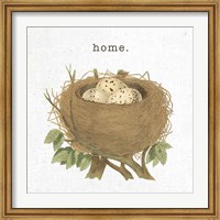 Spring Nest II Home Fine Art Print