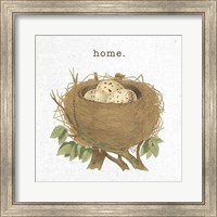 Spring Nest II Home Fine Art Print