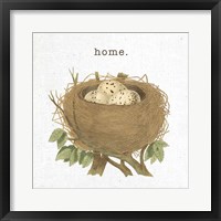 Spring Nest II Home Framed Print