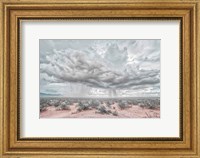 New Mexico Rain Fine Art Print