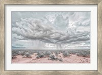 New Mexico Rain Fine Art Print