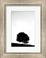 Lone Tree Hill Fine Art Print