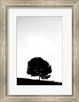 Lone Tree Hill Fine Art Print