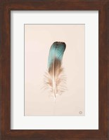 Floating Feathers IV Fine Art Print